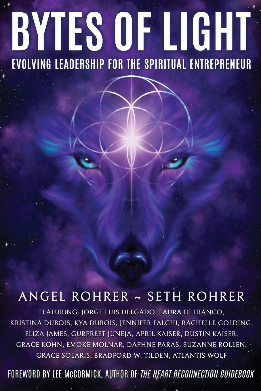 Cover: 9781961493070 | Bytes of Light | Evolving Leadership for the Spiritual Entrepreneur
