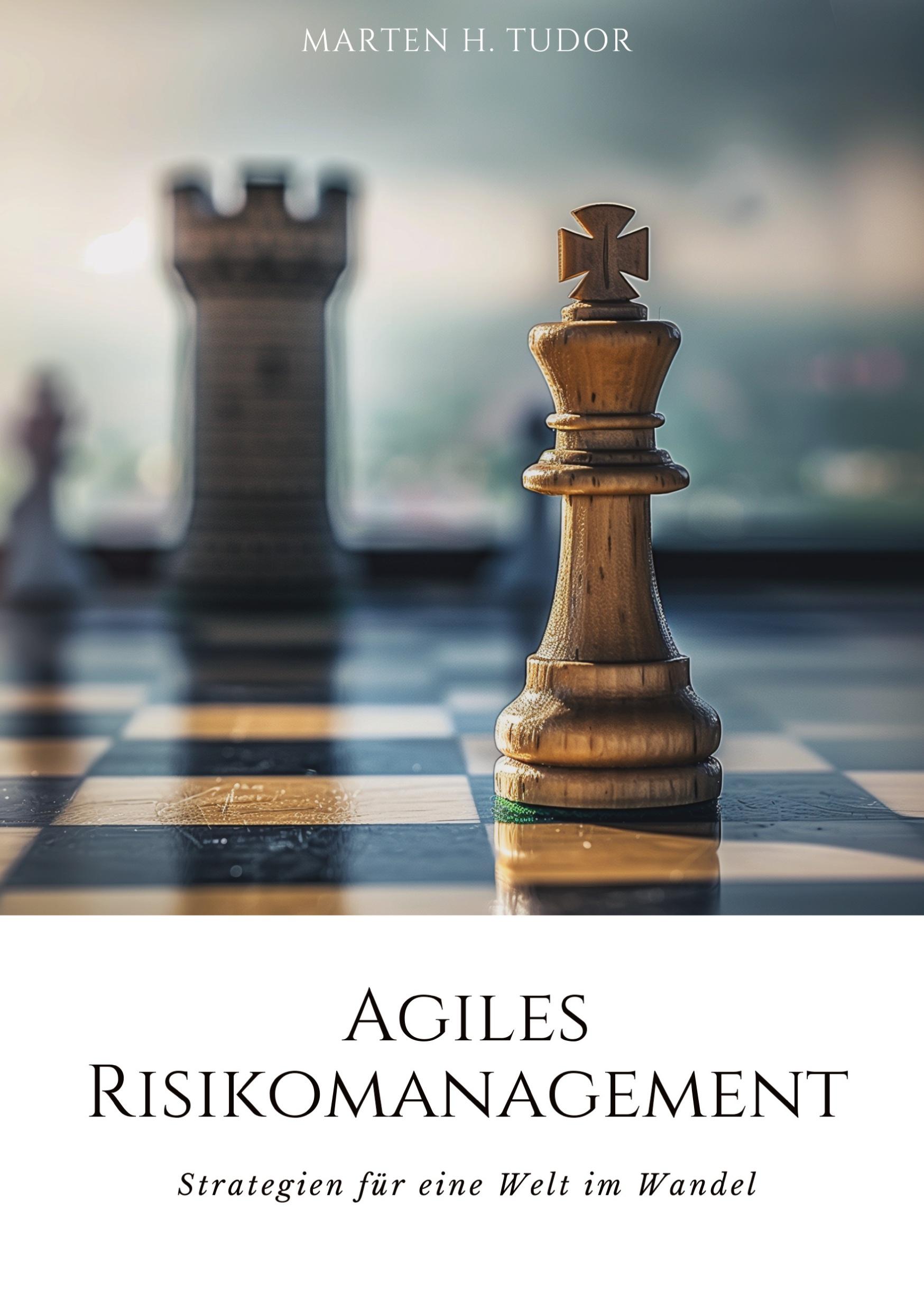 Cover: 9783384179111 | Agiles Risikomanagement | Strategien für eine Welt im Wandel | Tudor