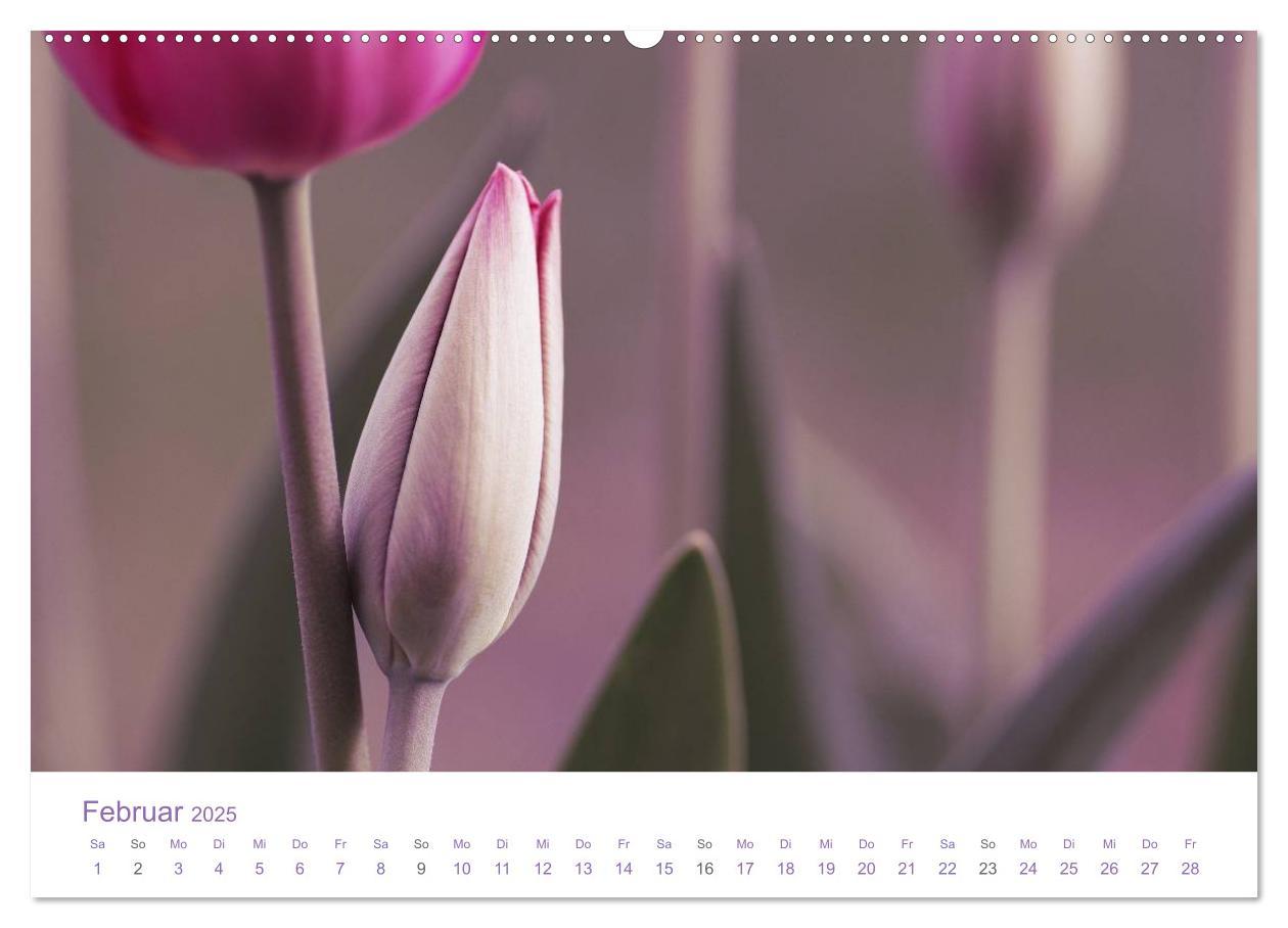 Bild: 9783435804993 | Blumen &amp; Blüten Träume (hochwertiger Premium Wandkalender 2025 DIN...