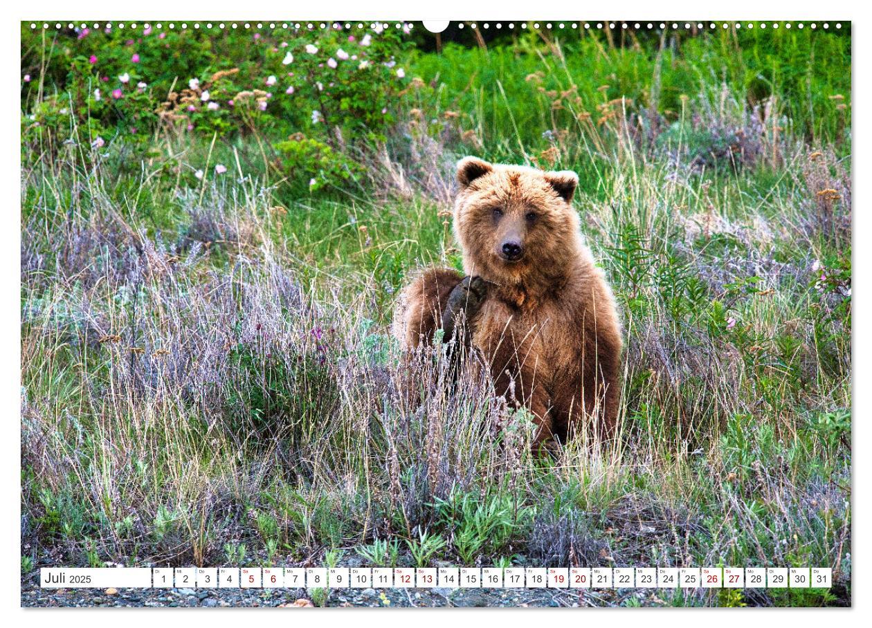 Bild: 9783383887390 | KANADA - Die Bären der Rocky Mountains (Wandkalender 2025 DIN A2...