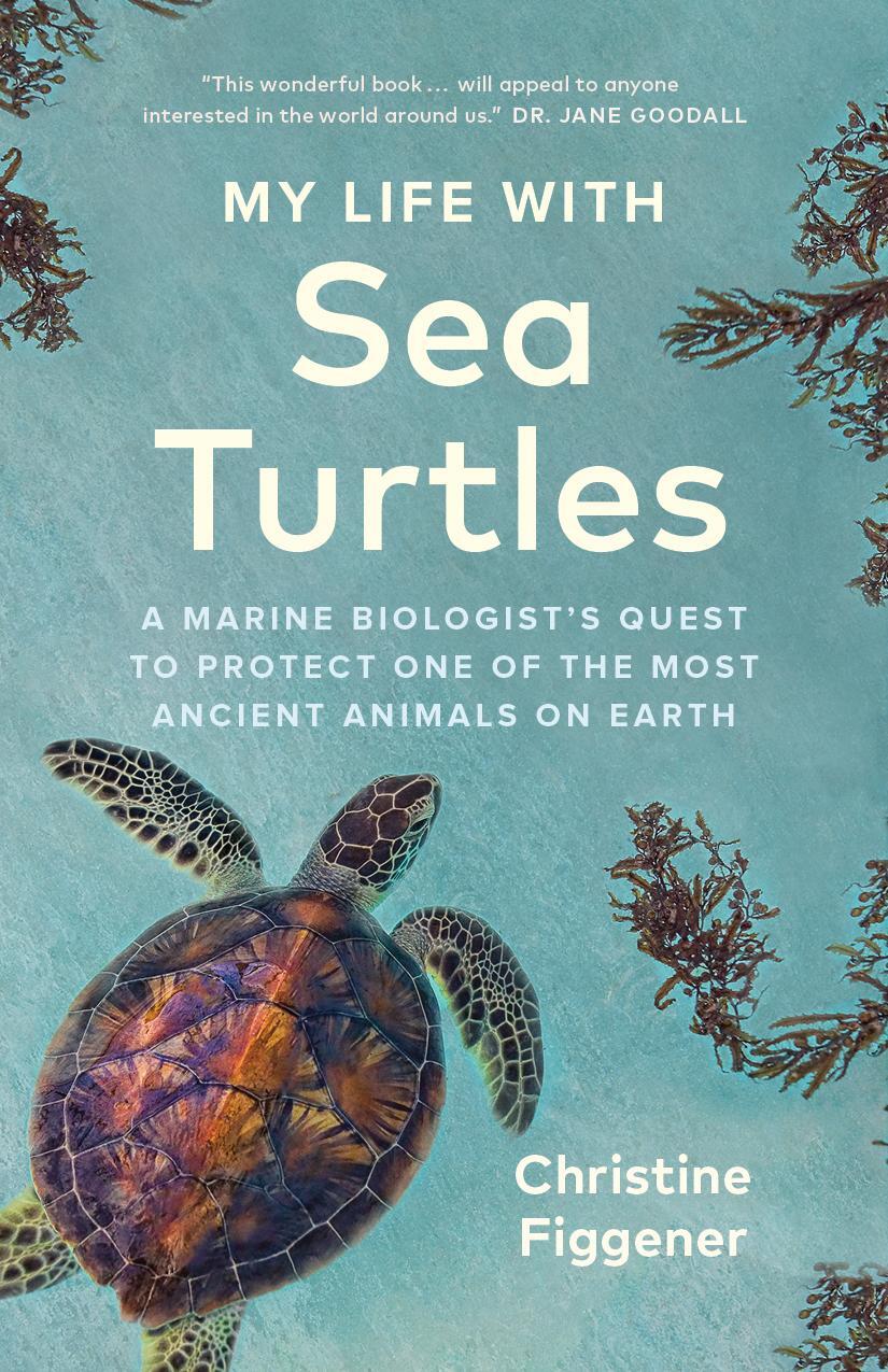 Cover: 9781778400582 | My Life with Sea Turtles | Christine Figgener | Buch | Englisch | 2024