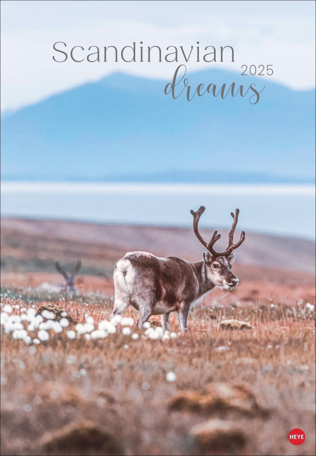 Cover: 9783756408368 | Scandinavian Dreams Posterkalender 2025 | Kalender | Spiralbindung