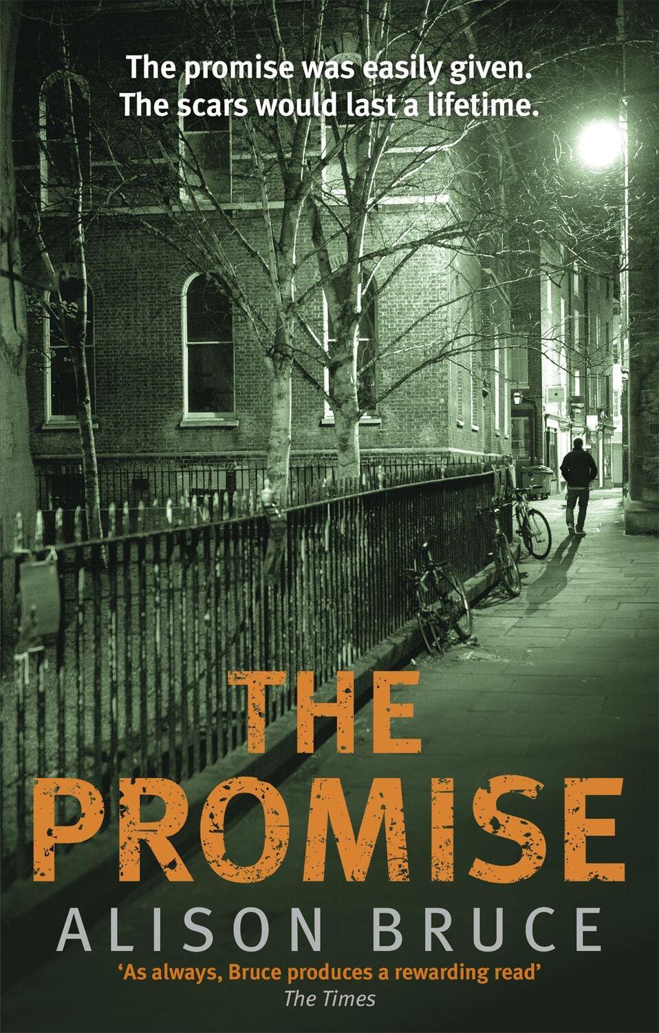 Cover: 9781472112279 | The Promise | Alison Bruce | Taschenbuch | Kartoniert / Broschiert