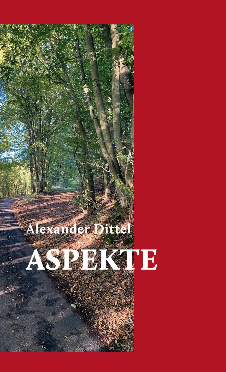 Cover: 9783384152701 | ASPEKTE | Alexander Dittel | Buch | HC gerader Rücken kaschiert | 2024