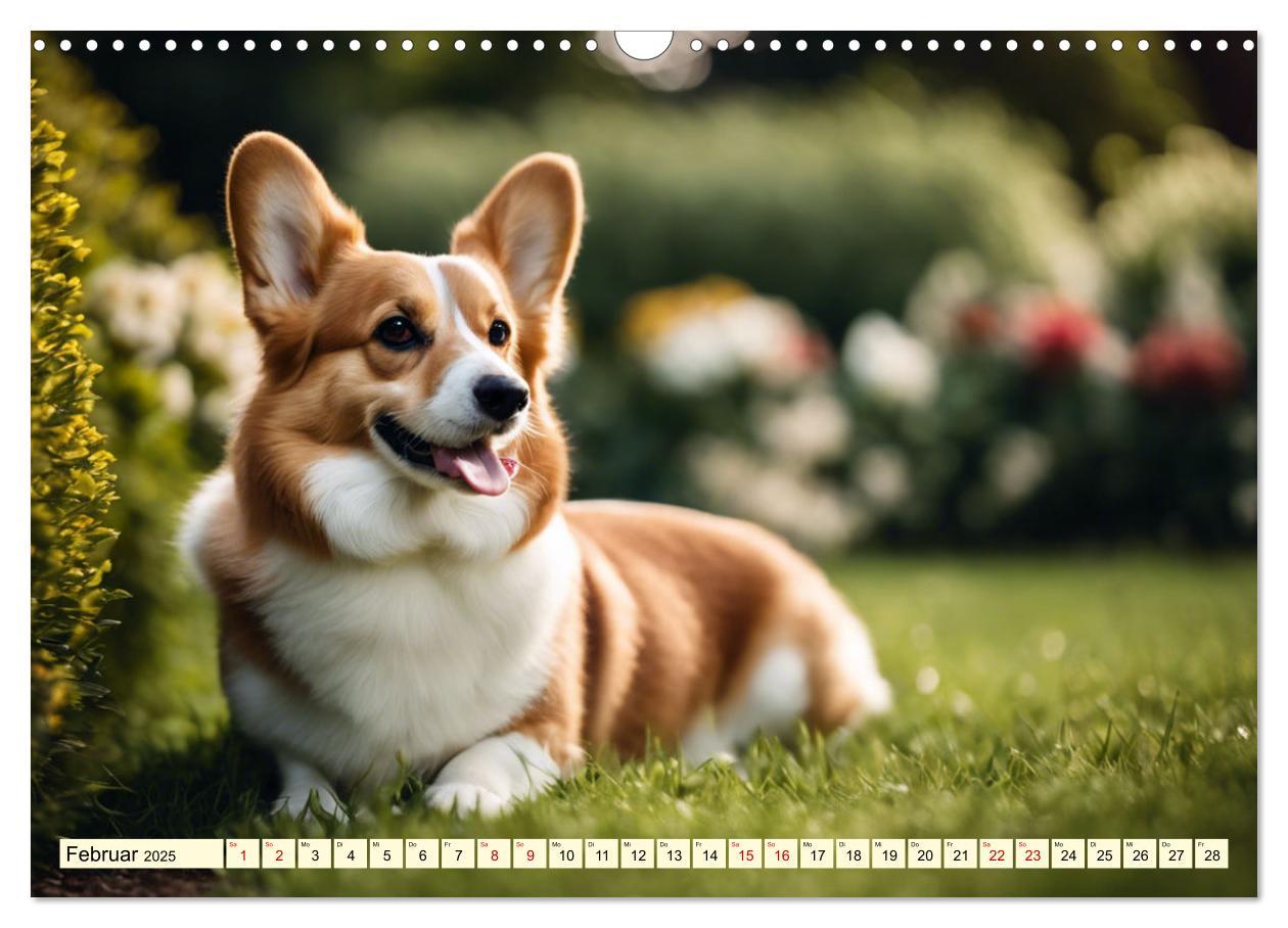 Bild: 9783435244447 | Welsh Corgi Pembroke (Wandkalender 2025 DIN A3 quer), CALVENDO...