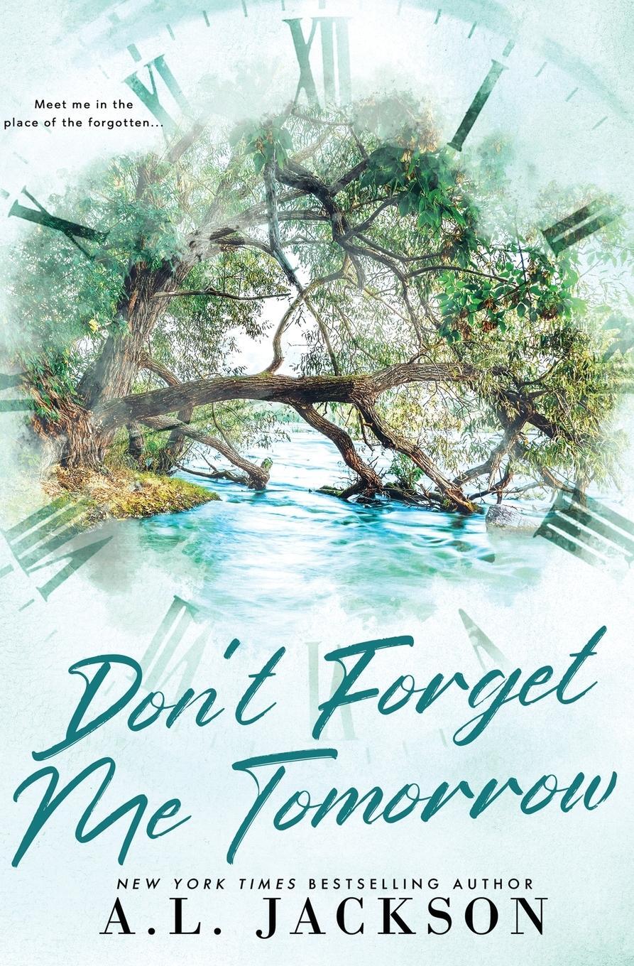 Cover: 9781960730244 | Don't Forget Me Tomorrow (Alternate Cover) | A. L. Jackson | Buch