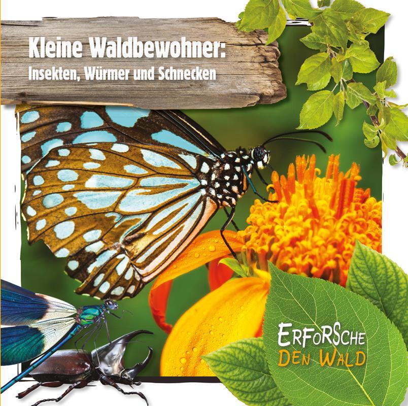 Cover: 9789463415675 | Kleine Waldbewohner: Insekten, Würmer und Schnecken | Robin Twiddy