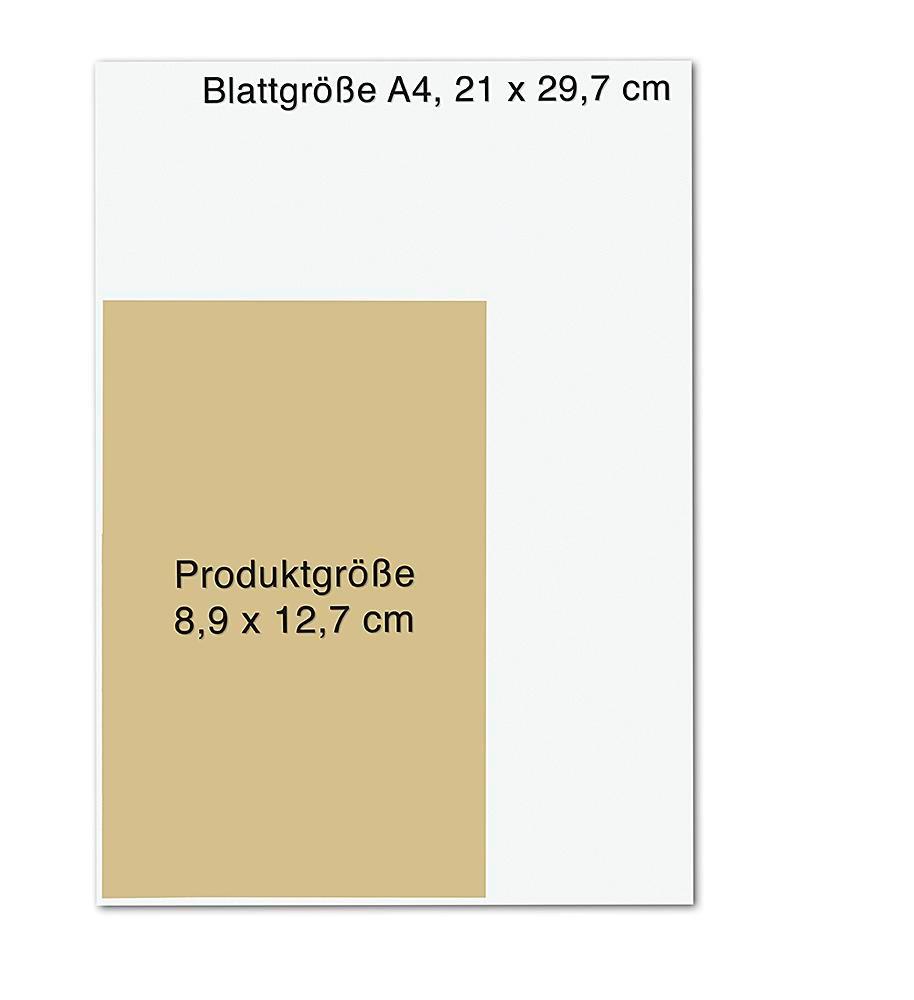 Bild: 9783426226681 | Totholz | Andreas Föhr | Taschenbuch | Ein Wallner &amp; Kreuthner Krimi