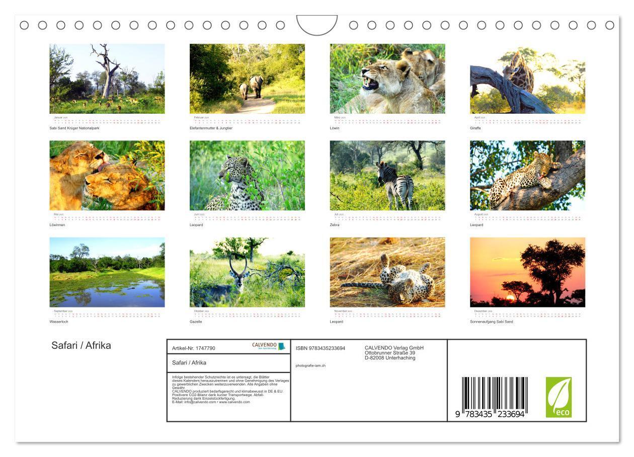 Bild: 9783435233694 | Safari / Afrika (Wandkalender 2025 DIN A4 quer), CALVENDO...