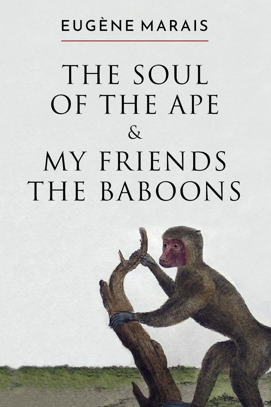 Cover: 9780980770674 | The Soul of the Ape & My Friends the Baboons | Eugene Marais | Buch
