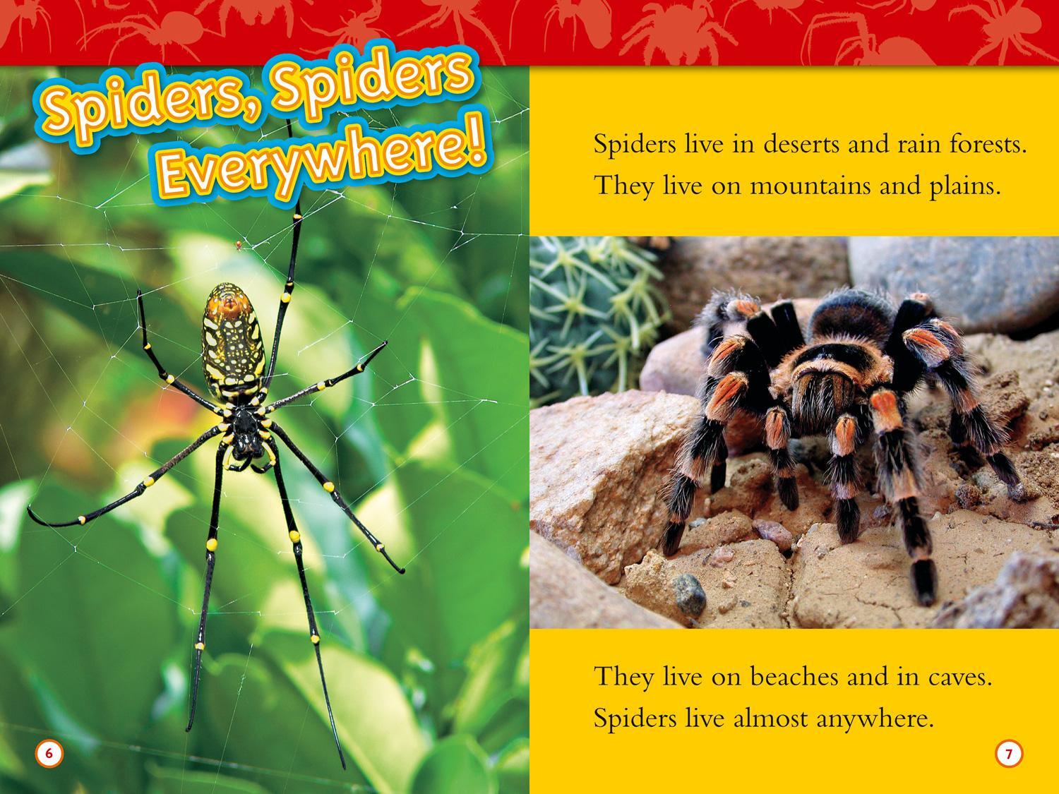 Bild: 9780008266653 | Spiders | Level 2 | Laura Marsh (u. a.) | Taschenbuch | Englisch