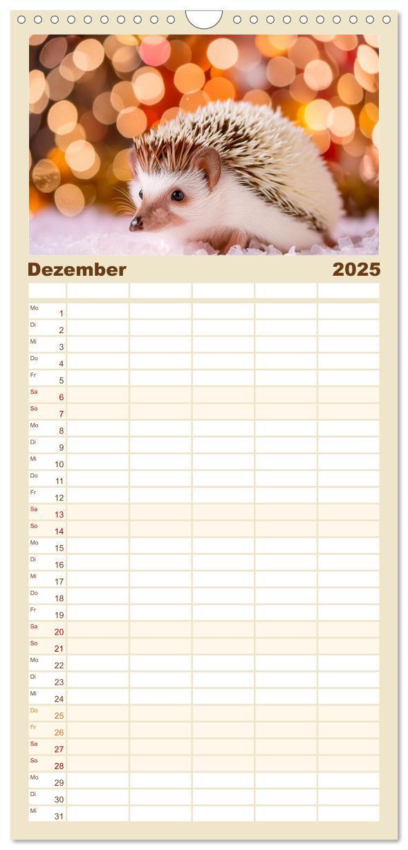 Bild: 9783457193037 | Familienplaner 2025 - Mein Igel-Kalender mit 5 Spalten...