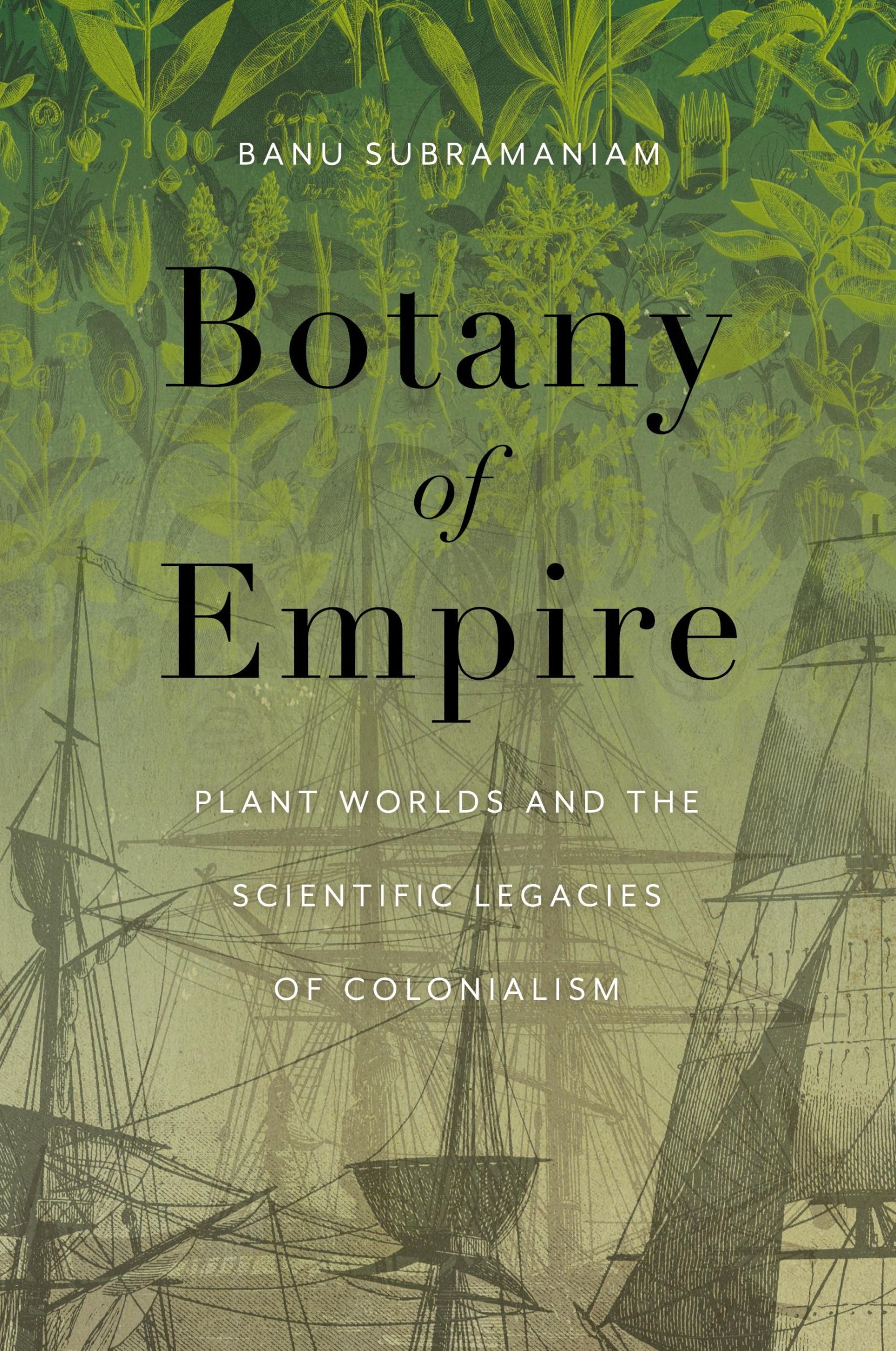 Cover: 9780295752464 | Botany of Empire | Banu Subramaniam | Taschenbuch | Englisch | 2024