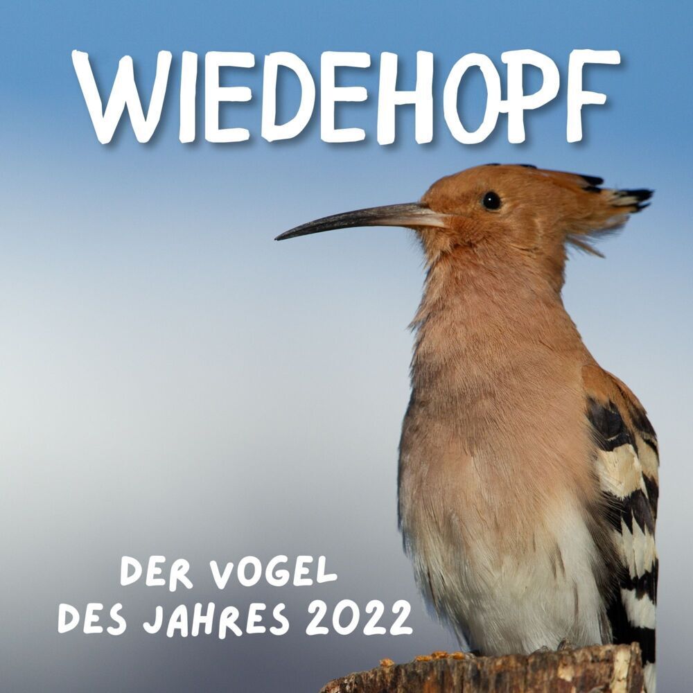 Cover: 9783750513310 | Wiedehopf | Der Vogel des Jahres 2022 | Bibi Hübsch | Taschenbuch