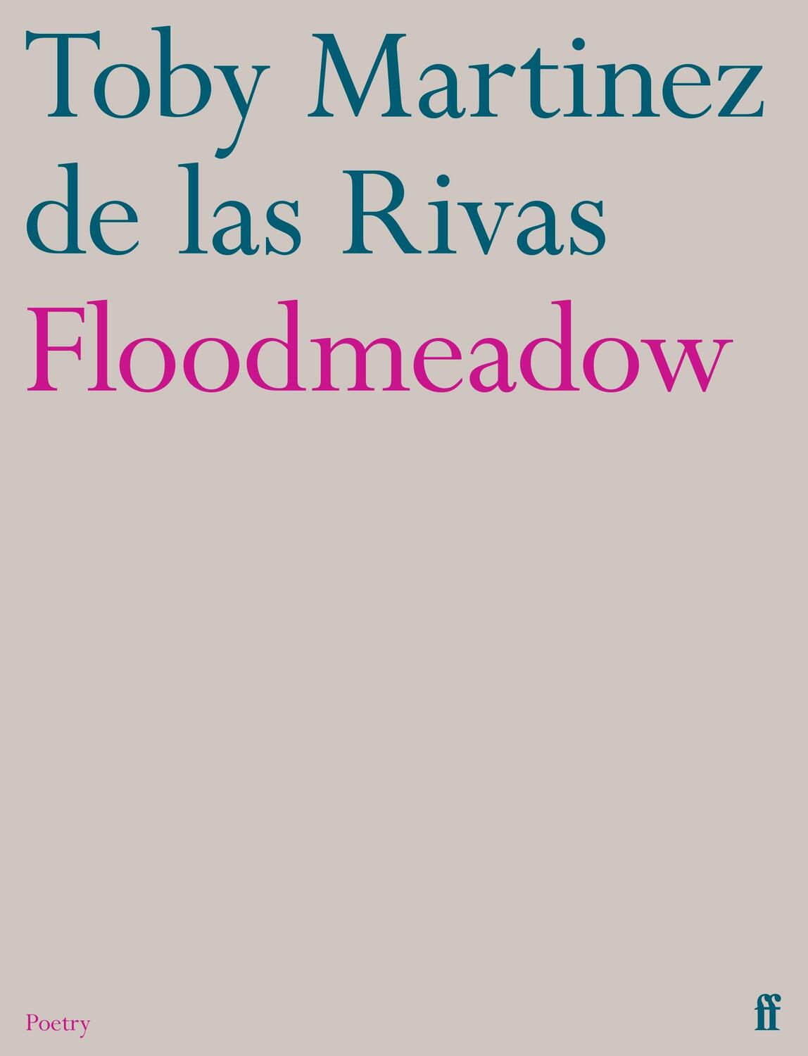 Cover: 9780571376438 | Floodmeadow | Toby Martinez de las Rivas | Taschenbuch | Englisch