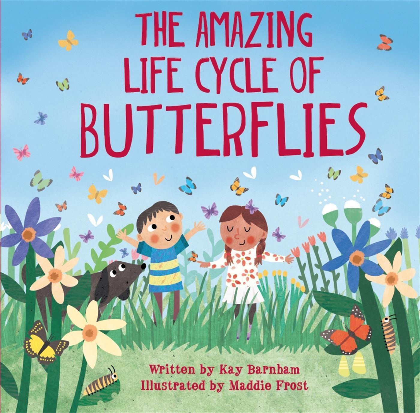 Cover: 9780750299565 | Look and Wonder: The Amazing Life Cycle of Butterflies | Kay Barnham