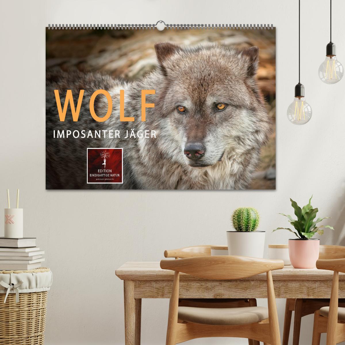 Bild: 9783435334643 | Wolf - Imposanter Jäger (Wandkalender 2025 DIN A2 quer), CALVENDO...