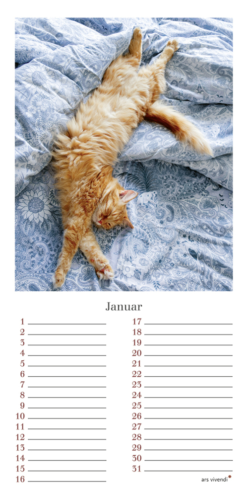 Bild: 9783747203958 | Geburtstagskalender Katzen | Immerwährender Kalender | Verlag | 12 S.