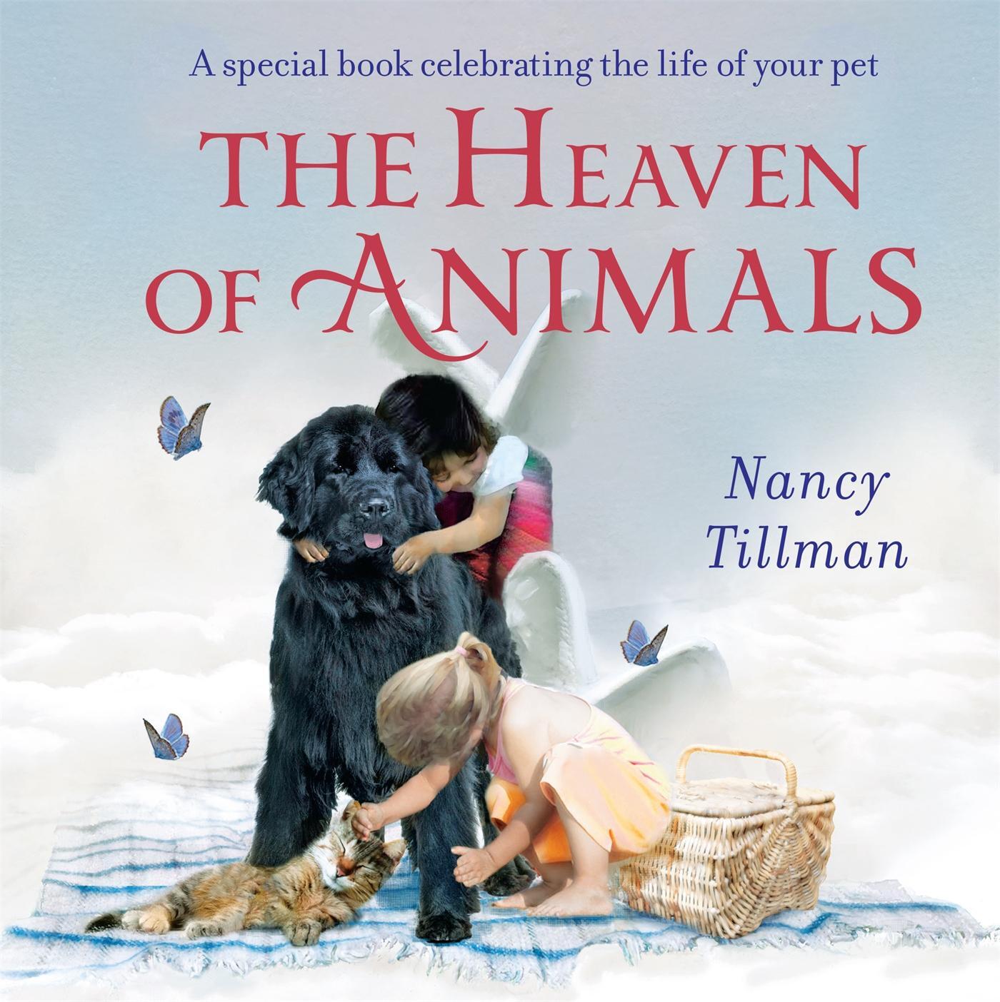 Cover: 9781035002900 | The Heaven of Animals | Nancy Tillman | Buch | Papp-Bilderbuch | 2023