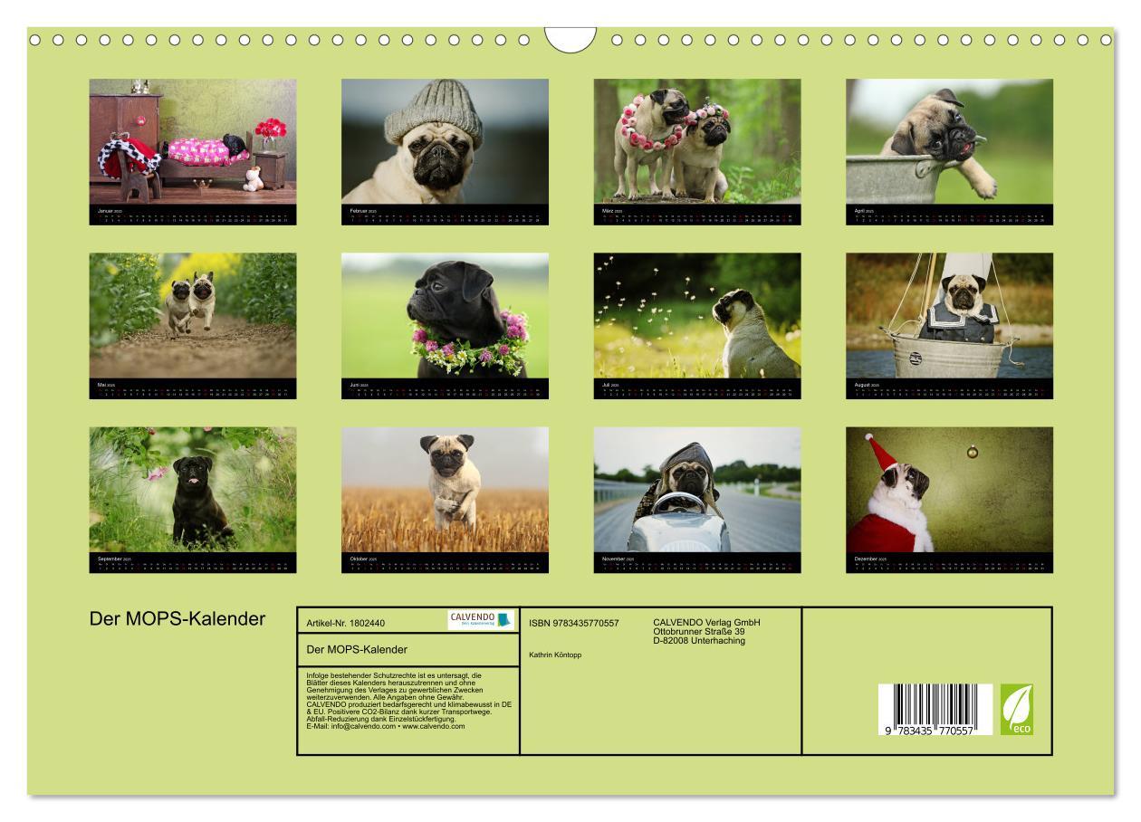 Bild: 9783435770557 | Der MOPS-Kalender (Wandkalender 2025 DIN A3 quer), CALVENDO...