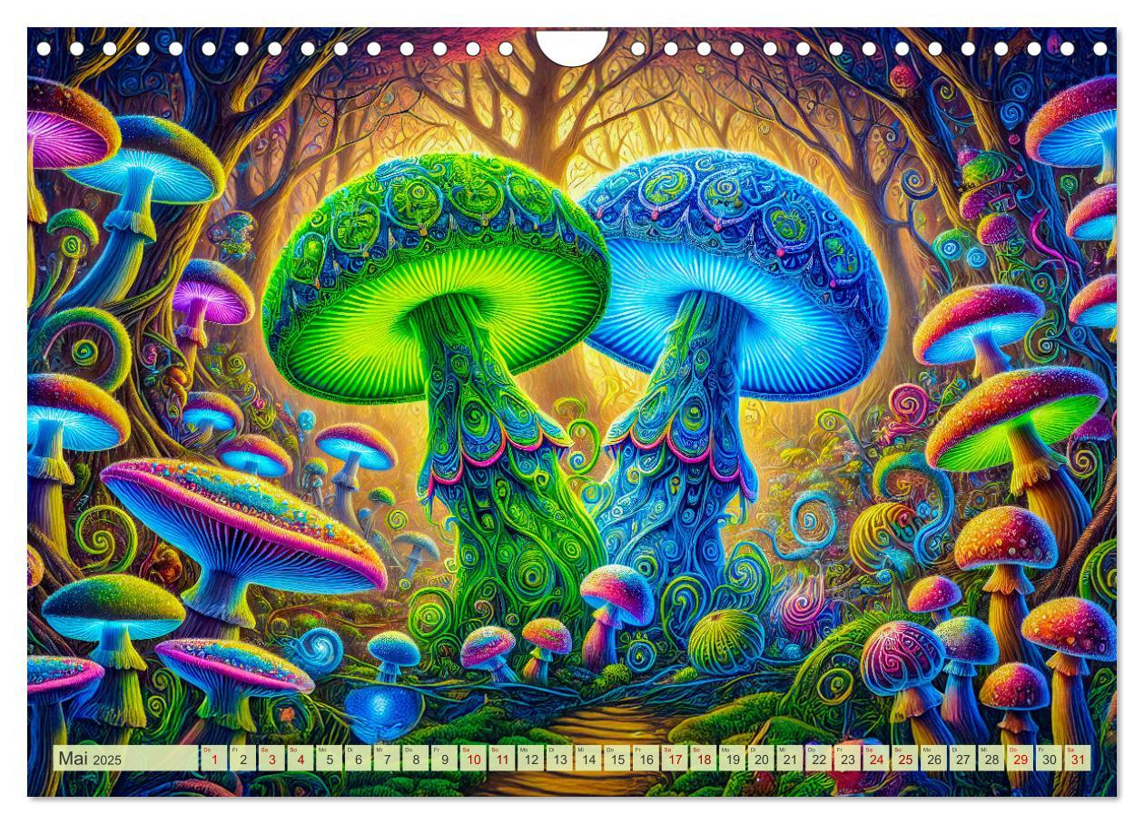 Bild: 9783457226582 | Psychedelische Pilze - Die bunte Welt der magischen Pilze...