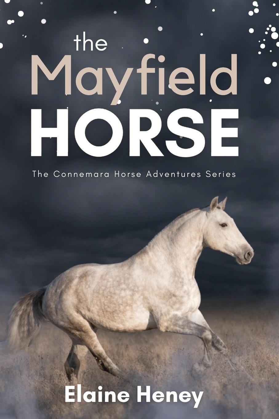 Cover: 9781915542007 | The Mayfield Horse - Book 3 in the Connemara Horse Adventure Series...