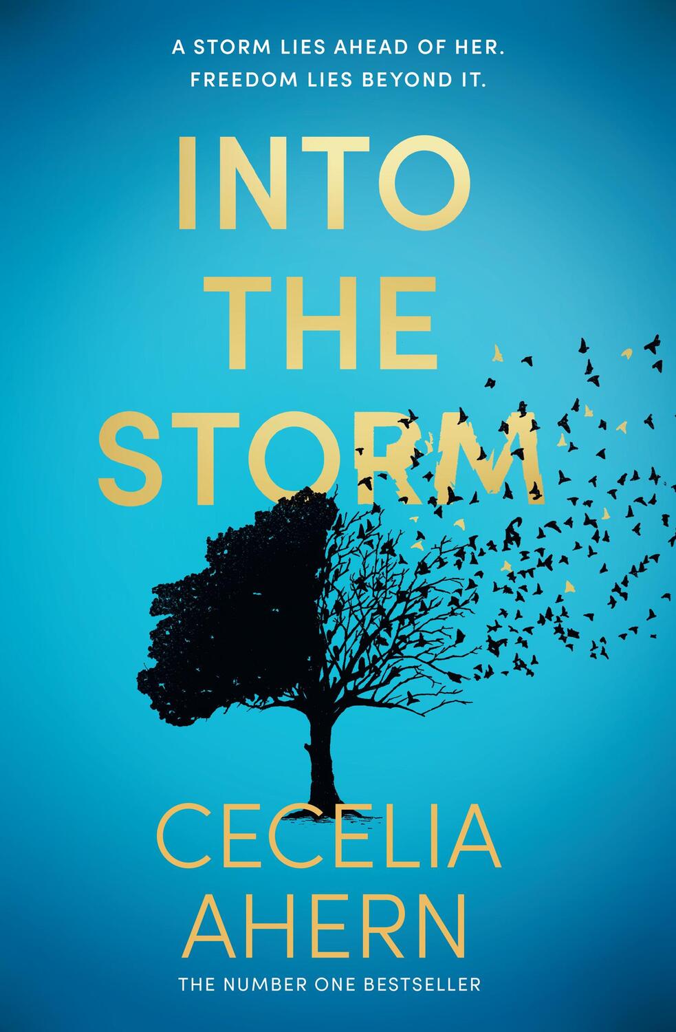 Cover: 9780008195038 | Into the Storm | Cecelia Ahern | Taschenbuch | 400 S. | Englisch