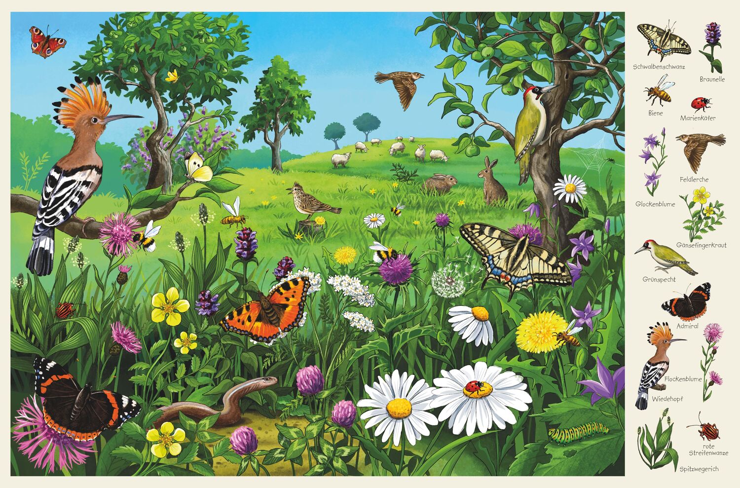 Bild: 9783741527197 | Mein großes Wimmelbuch Natur | Pappbilderbuch für Kinder ab 3 Jahren