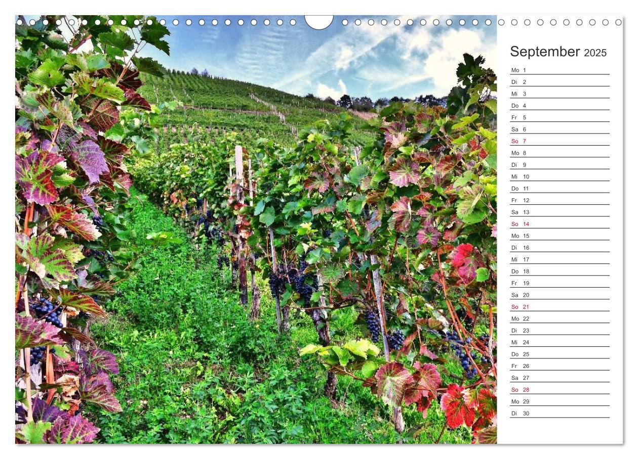 Bild: 9783435548767 | Bildschön - Die Mosel (Wandkalender 2025 DIN A3 quer), CALVENDO...