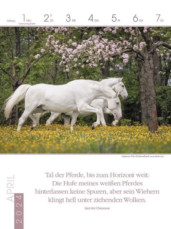 Bild: 9783731870173 | Literaturkalender Pferde 2024 | Korsch Verlag | Kalender | 54 S.