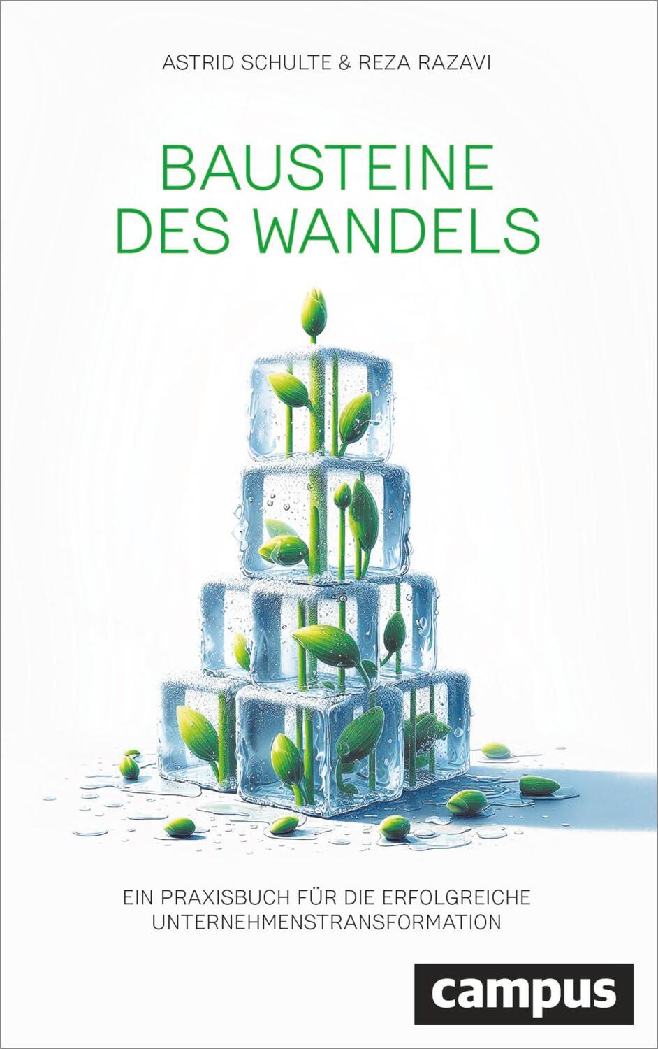 Cover: 9783593519890 | Bausteine des Wandels | Astrid Schulte (u. a.) | Buch | 200 S. | 2024