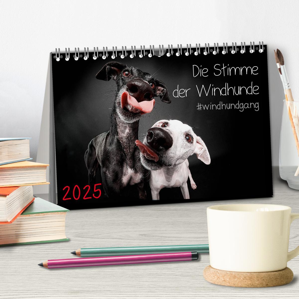 Bild: 9783435227716 | Die Stimme der Windhunde (Tischkalender 2025 DIN A5 quer), CALVENDO...