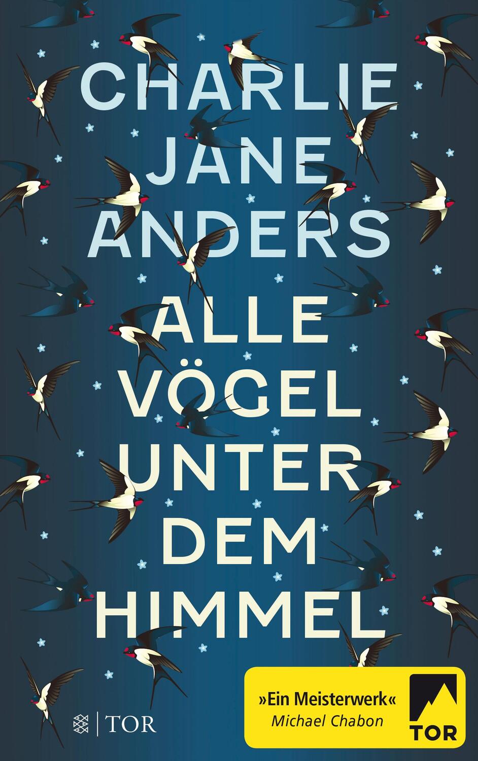 Cover: 9783596036967 | Alle Vögel unter dem Himmel | Charlie Jane Anders | Taschenbuch | 2017