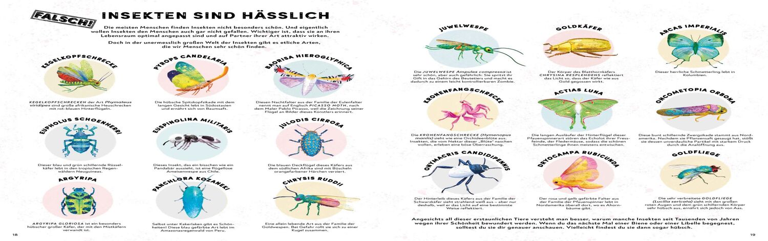 Bild: 9783328302582 | Alles, was wir über Krabbeltiere wissen, ist falsch! | Nick Crumpton