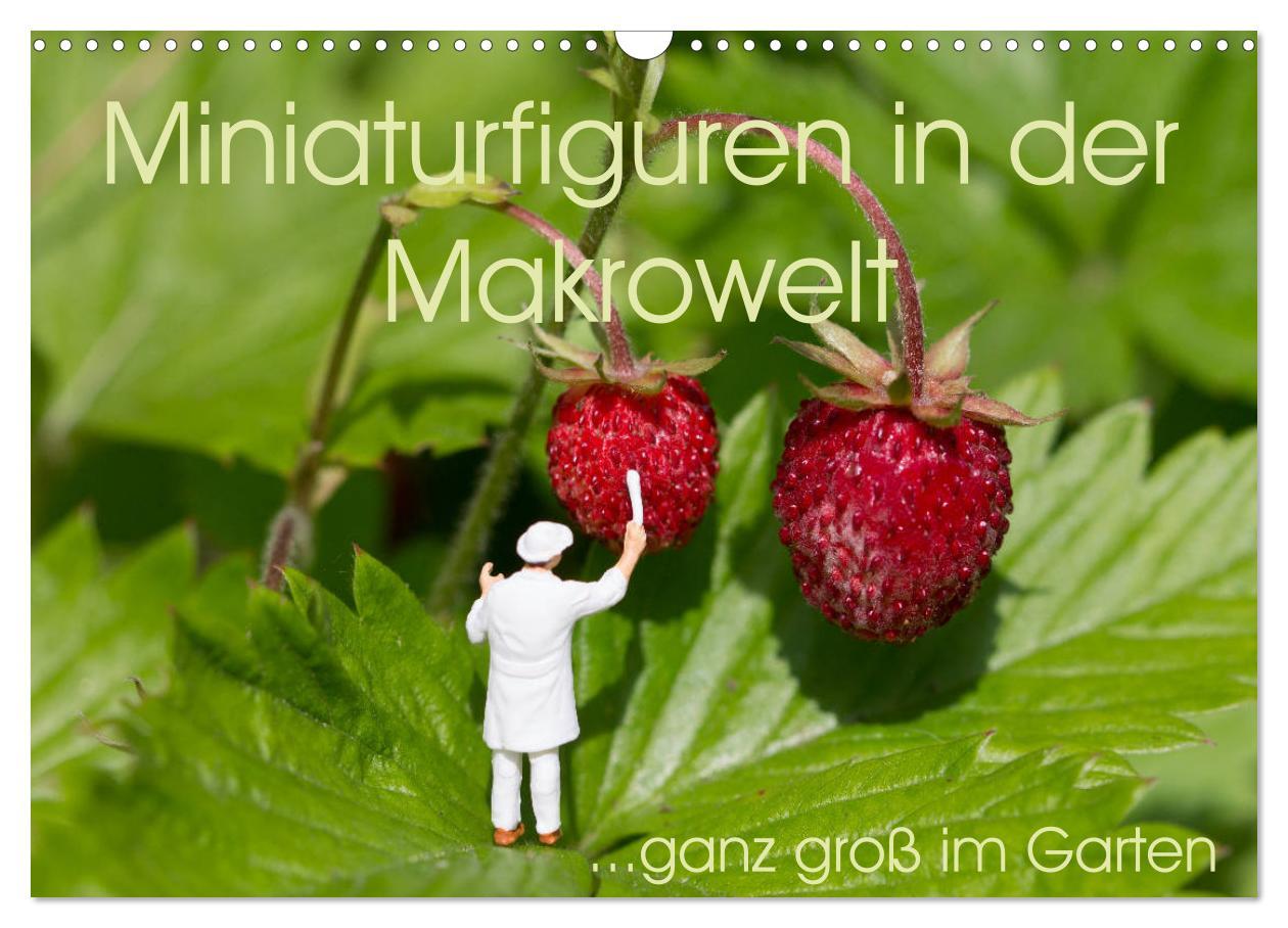 Cover: 9783435356508 | Miniaturfiguren in der Makrowelt ...ganz groß im Garten...