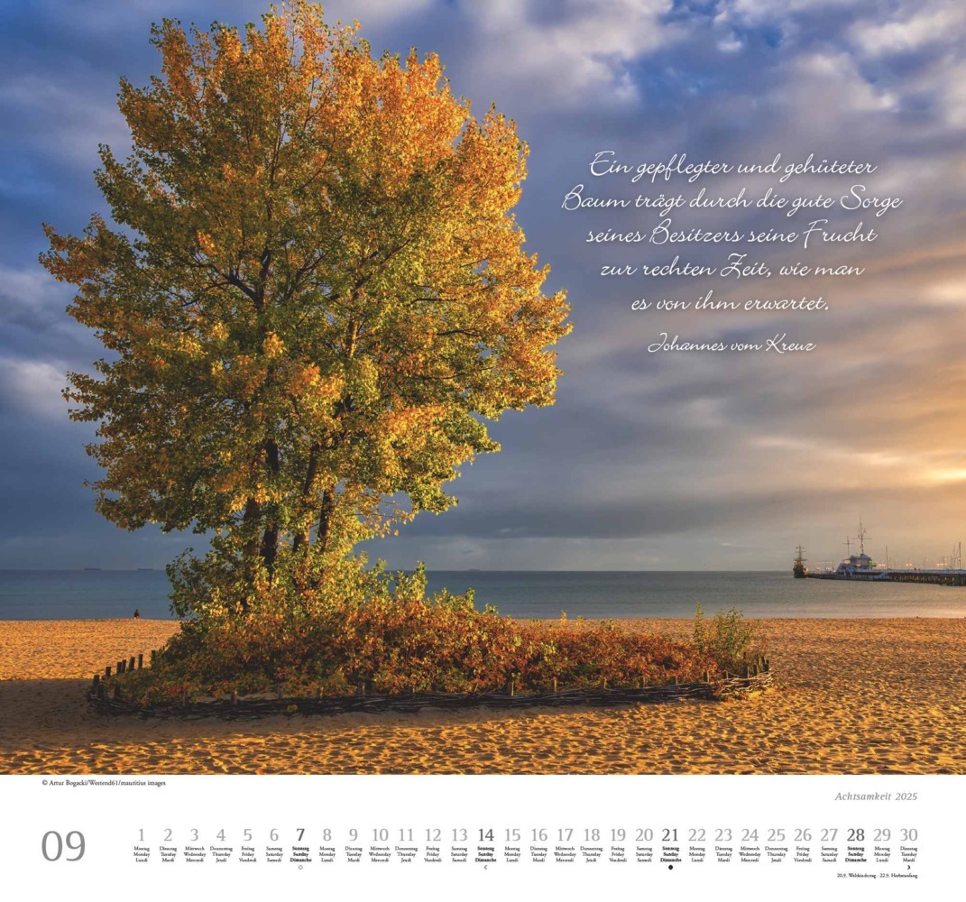 Bild: 4250809653495 | DUMONT - Achtsamkeit 2025 Wandkalender, 38x35,5cm,...