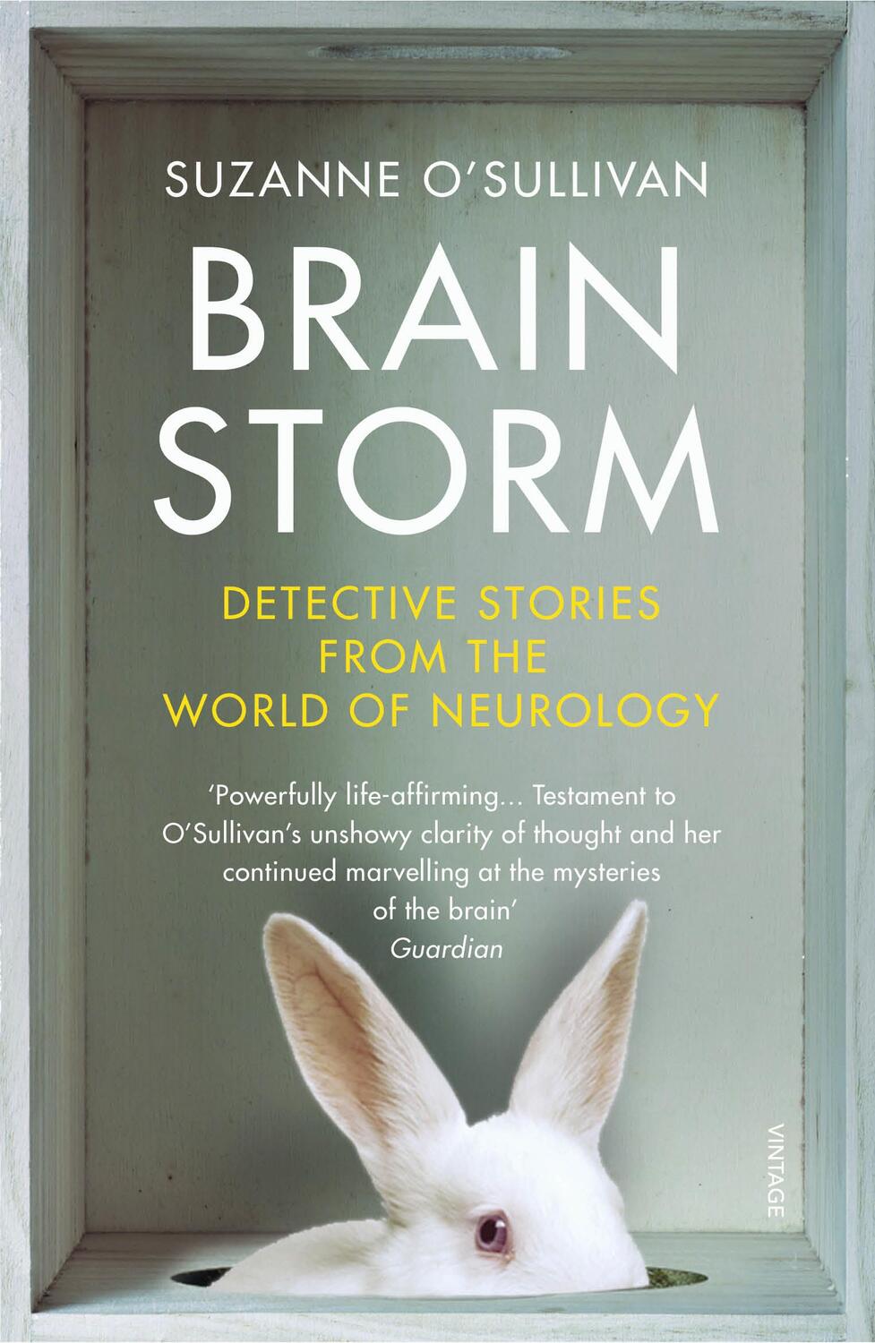 Cover: 9781784704995 | Brainstorm | Detective Stories From the World of Neurology | Buch