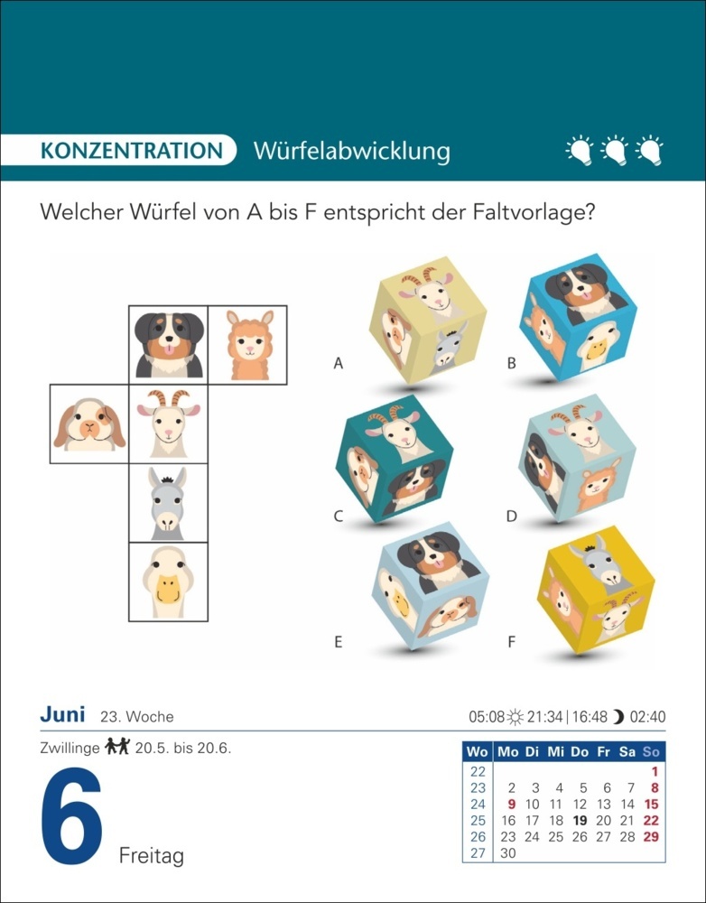 Bild: 9783840033254 | Brain Jogging Tagesabreißkalender 2025 - Gedächtnis, Konzentration,...