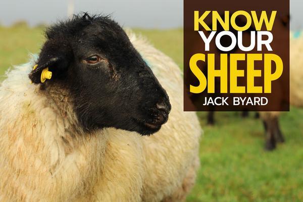 Cover: 9781912158508 | Know Your Sheep | Jack Byard | Taschenbuch | Kartoniert / Broschiert