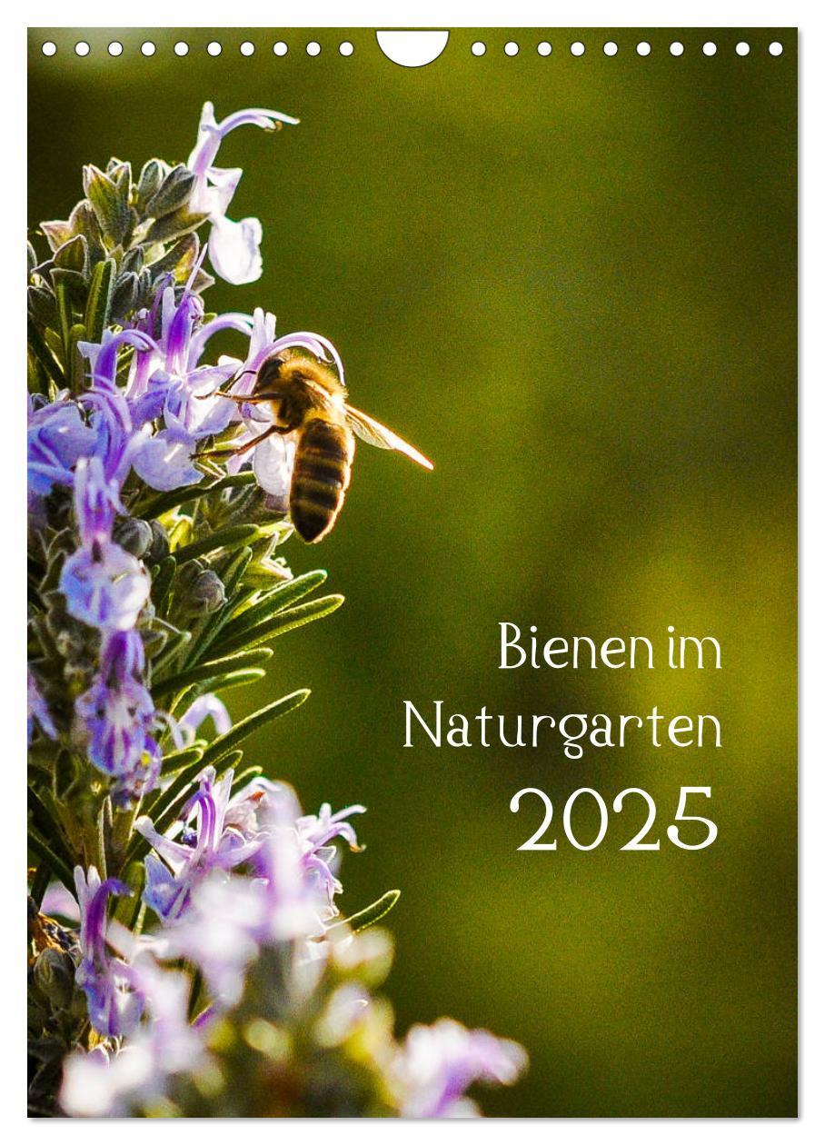 Cover: 9783435958023 | Bienen im Naturgarten (Wandkalender 2025 DIN A4 hoch), CALVENDO...