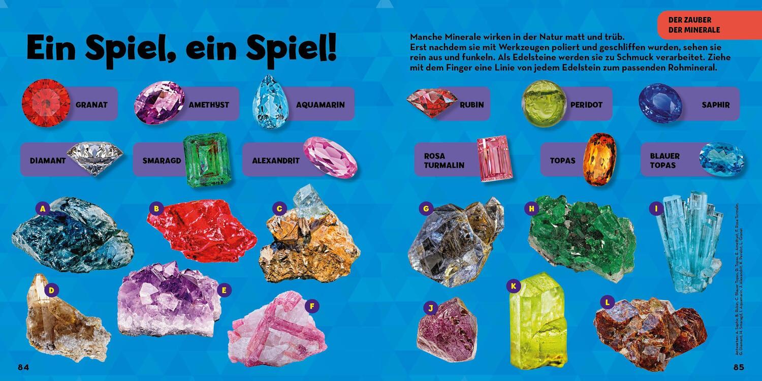 Bild: 9788863125139 | Mein großes Buch der Steine, Mineralien und Muscheln | Donohue | Buch