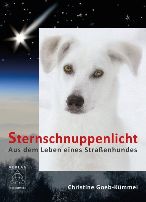 Cover: 9783981478464 | Sternschnuppenlicht | Aus dem Leben eines Straßenhundes | Goeb-Kümmel