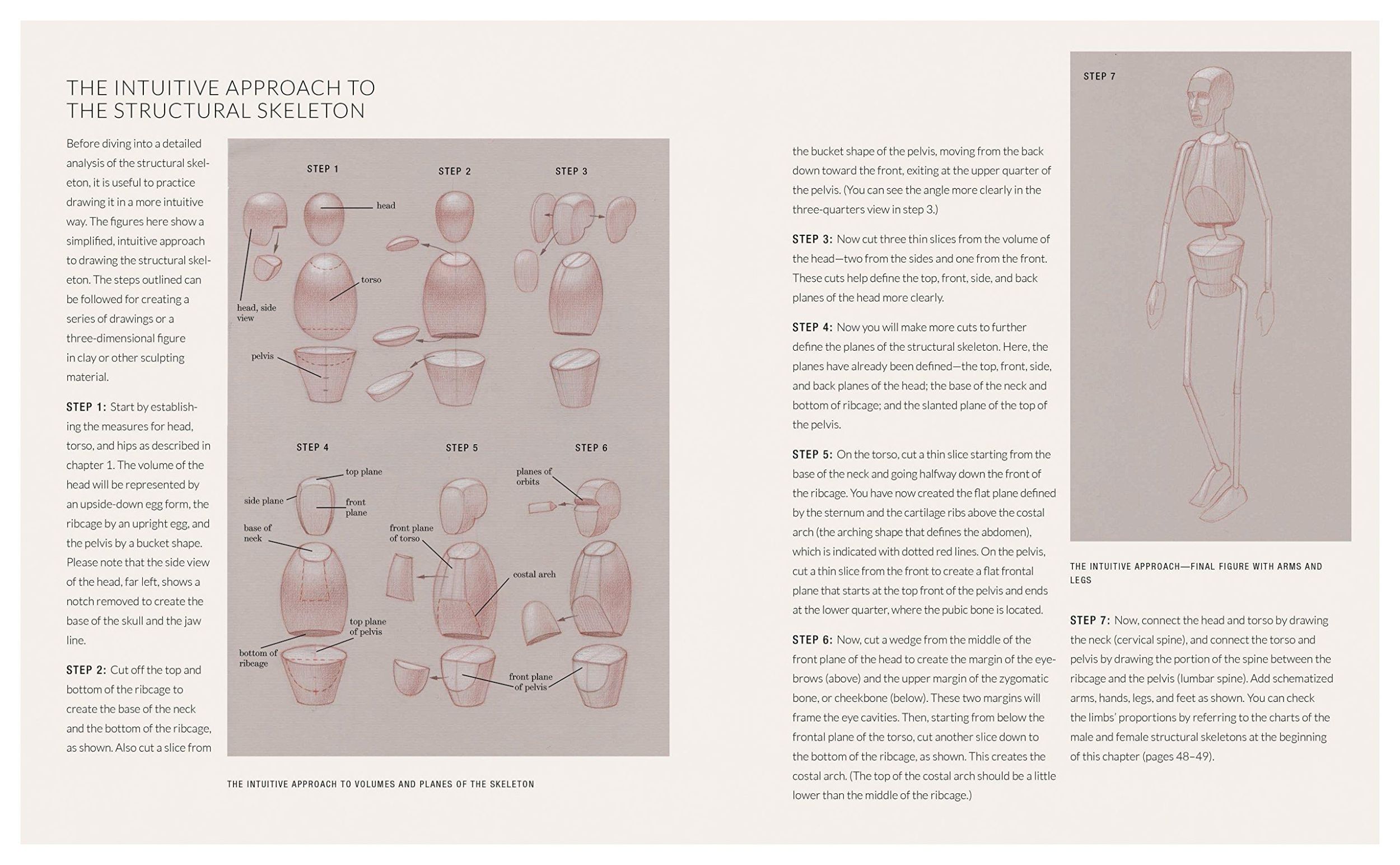 Bild: 9781580934381 | Basic Human Anatomy | An Essential Visual Guide for Artists | Osti