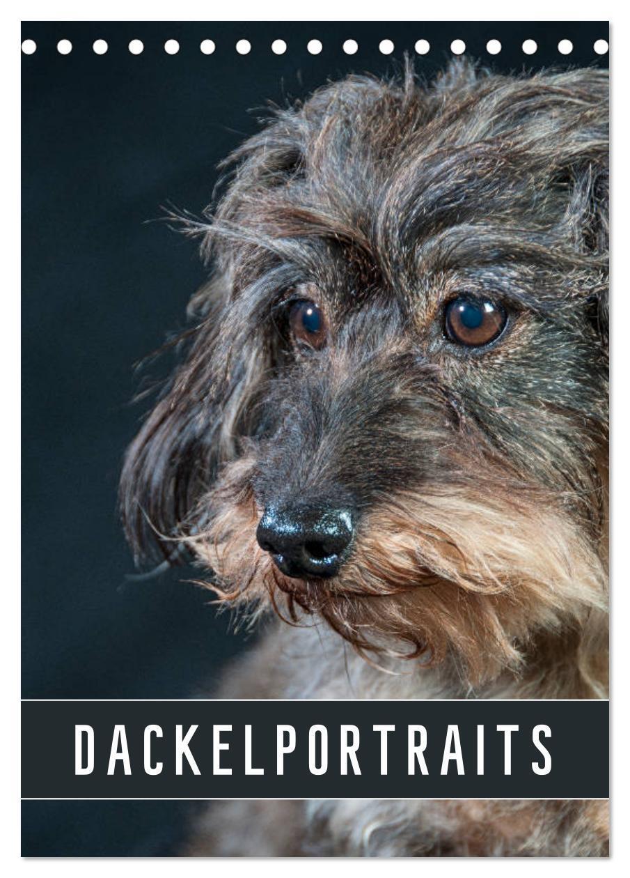 Cover: 9783435972951 | Dackelportraits (Tischkalender 2025 DIN A5 hoch), CALVENDO...