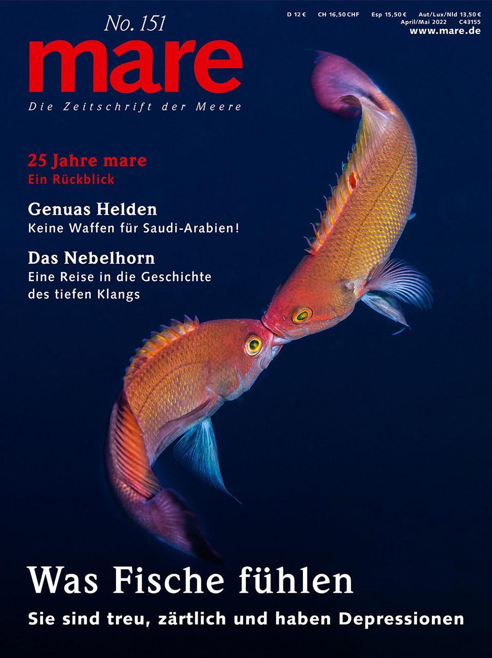 Cover: 9783866484405 | mare - Die Zeitschrift der Meere / No. 151 / Was Fische fühlen | Buch