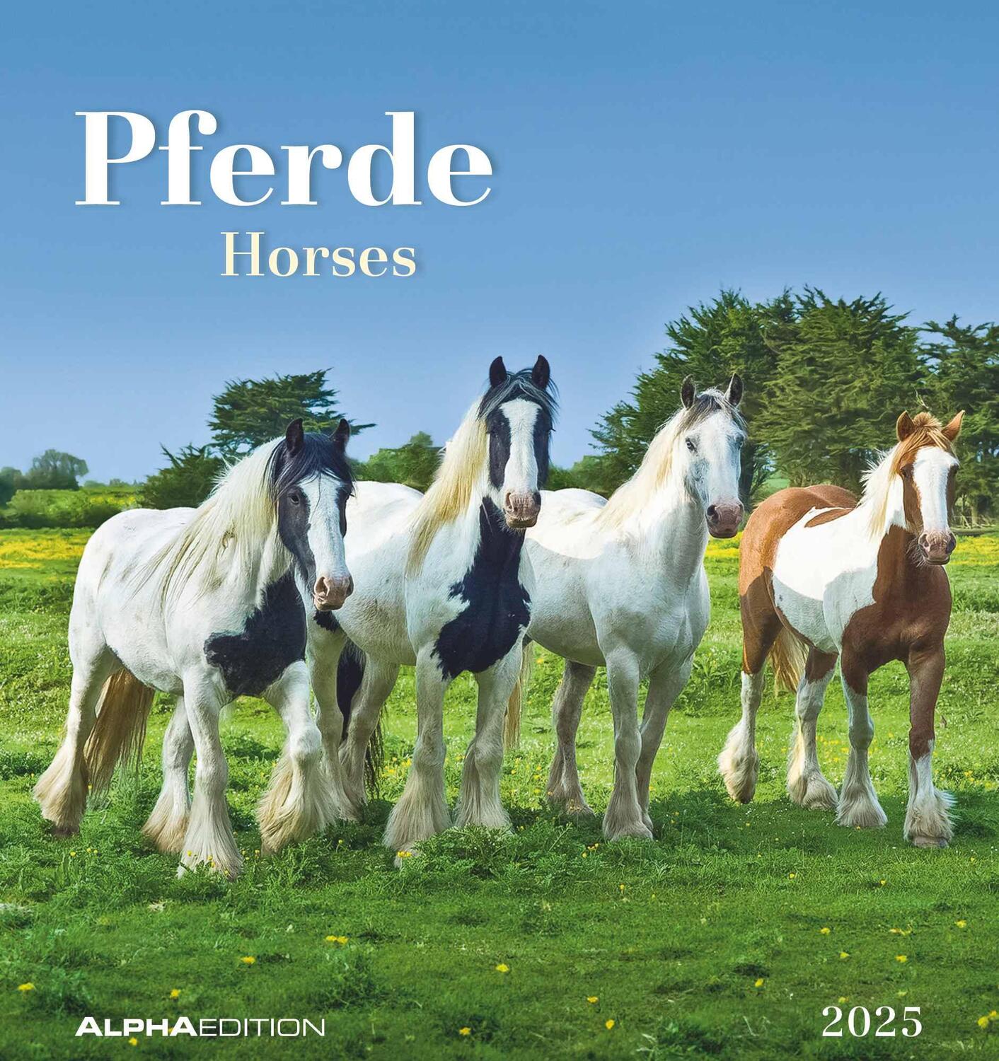 Cover: 4251732342302 | Pferde 2025 - Postkartenkalender 16x17 cm - Horses - zum Aufstellen...