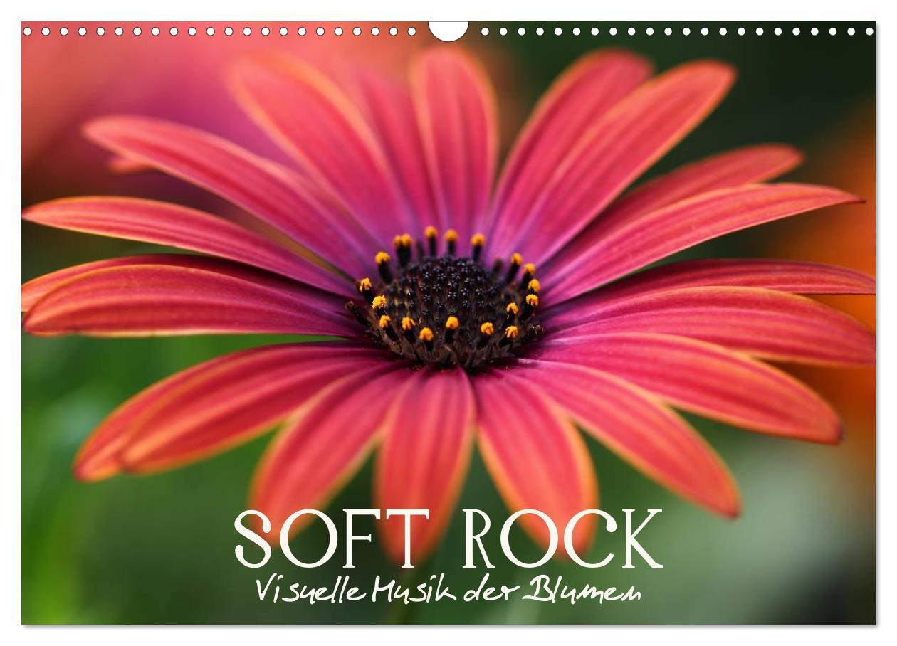 Cover: 9783383447457 | Soft Rock - Visuelle Musik der Blumen (Wandkalender 2024 DIN A3...