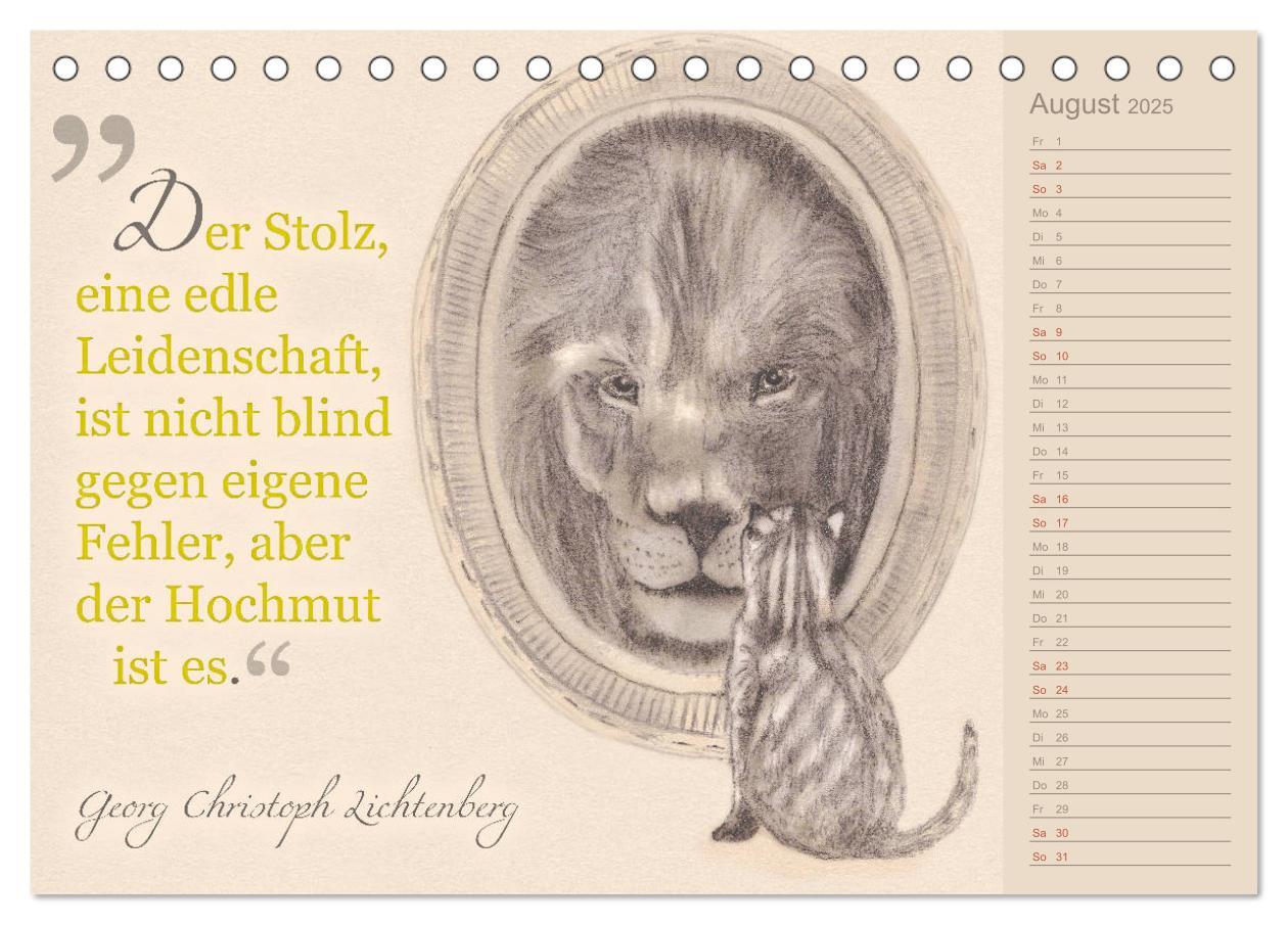 Bild: 9783435454396 | Von Katzen lernen (Tischkalender 2025 DIN A5 quer), CALVENDO...