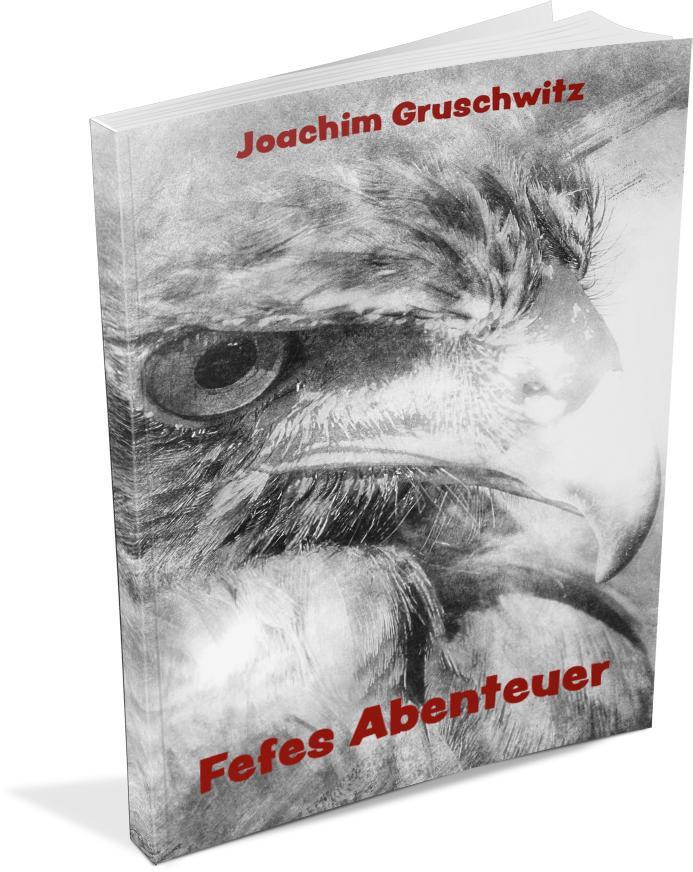 Bild: 9783960745310 | Fefes Abenteuer | Joachim Gruschwitz | Taschenbuch | Deutsch | 2022