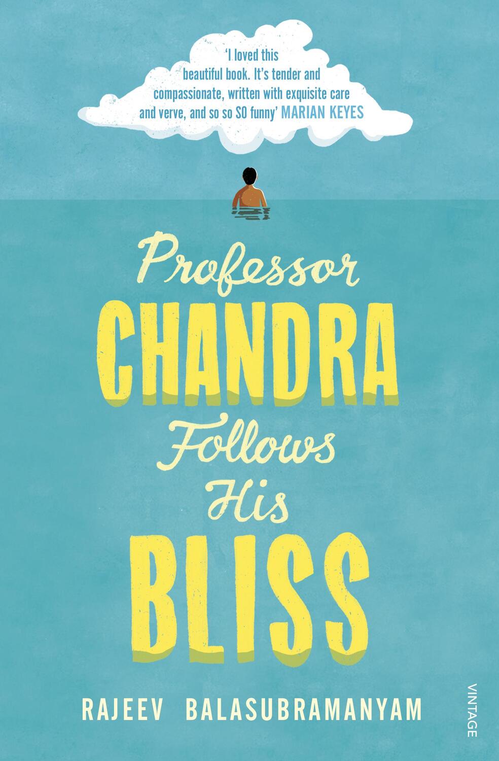 Cover: 9781784708818 | Professor Chandra Follows His Bliss | Rajeev Balasubramanyam | Buch